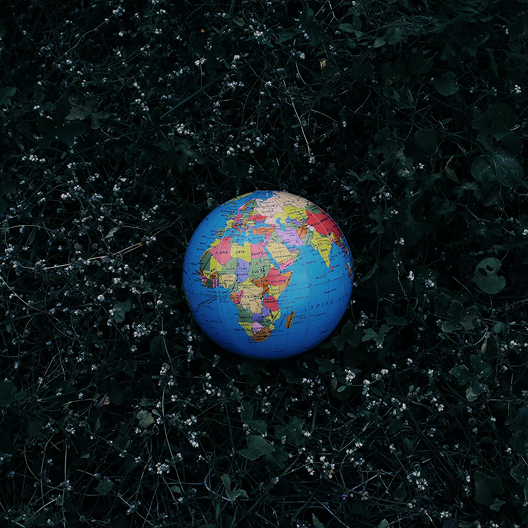 Global mobility support